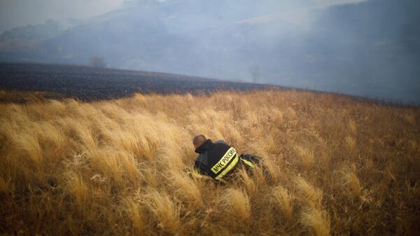 Сотрудник МЧС России на месте лесного пожара