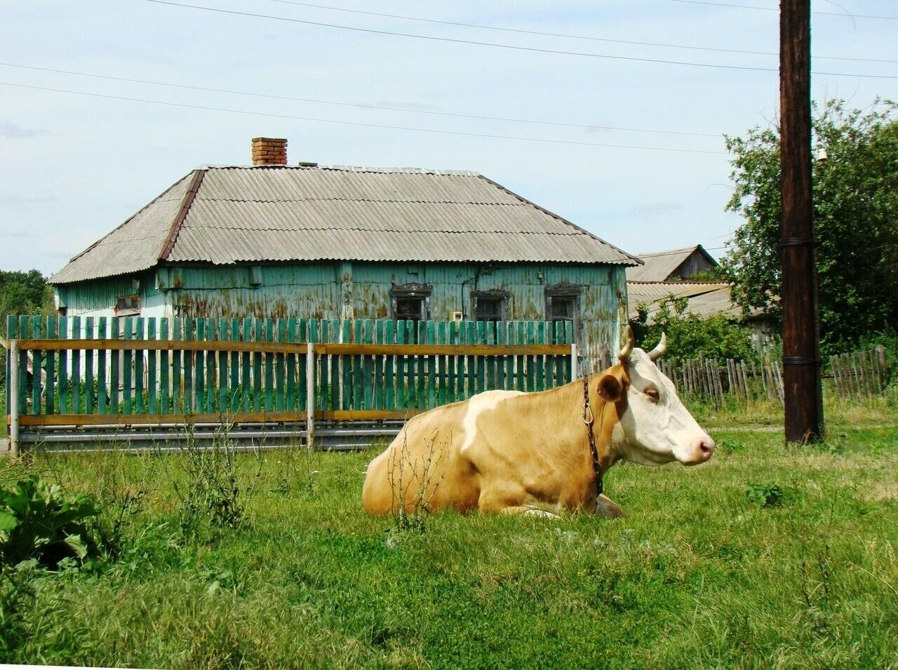 Село Жемчужино - РИА Новости, 1920, 02.10.2020