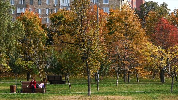 Желтеющие листья на деревьях в сквере на Ленинском проспекте в Москве