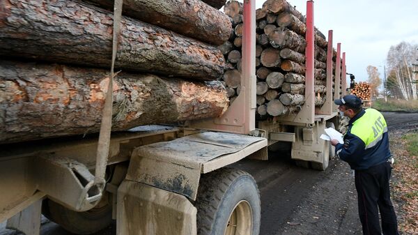 Инспектор ГИБДД осматривает лесовоз, гружёный необработанной древесиной, так называемым кругляком, в городе Лесосибирске 