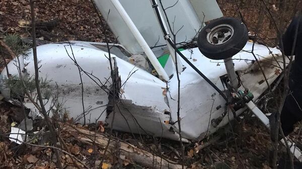 На месте падения легкомоторного одноместного самолета в Пензенской области