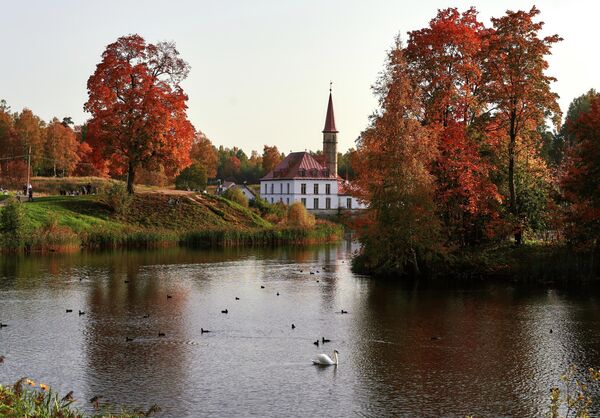 Гатчина Парк Фото Осенью