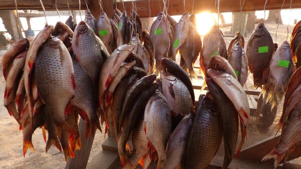 Рыбацкий улов на рыболовной базе в Астраханской области