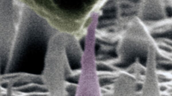 Изображение на растровом электронном микроскопе алмазной наноиглы, подверженной упругой деформации изгиба