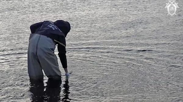 Сотрудник СК РФ на берегу Авачинского залива в Камчатском крае. Скриншот видео
