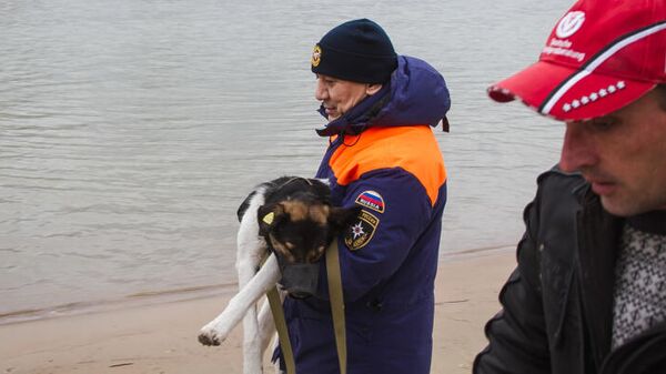 Сотрудник МЧС держит спасенную собаку
