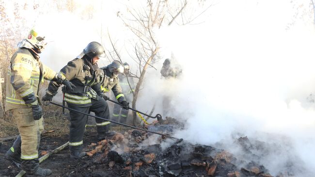 Сотрудники МЧС во время ликвидации пожаров в Рязанской области