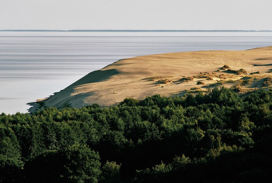 Вид на дюны с высоты Эфа в национальном парке Куршская коса в Калининградской области