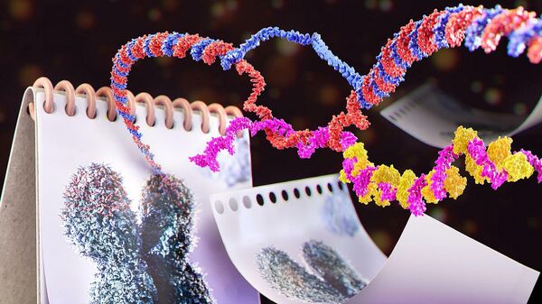 Молекулы РНК собираются на концах хромосом