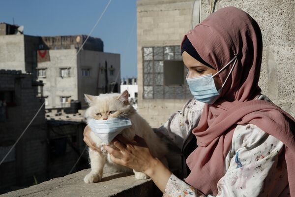 Палестинский художник с кошкой в Хан-Юнисе на юге Сектора Газа