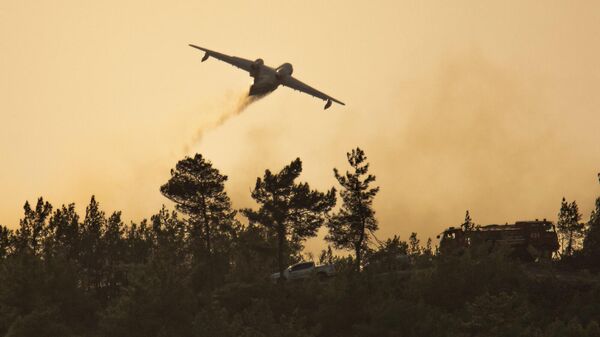 Российские самолеты-амфибии, тушившие пожары в Турции