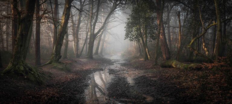 Leigh Dorey. Работа победителя конкурса Landscape Photographer of the Year 2020