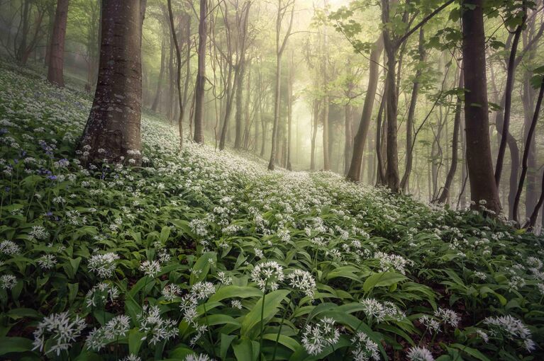 Chris Frost. Работа победителя конкурса Landscape Photographer of the Year 2020