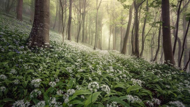 Chris Frost. Работа победителя конкурса Landscape Photographer of the Year 2020