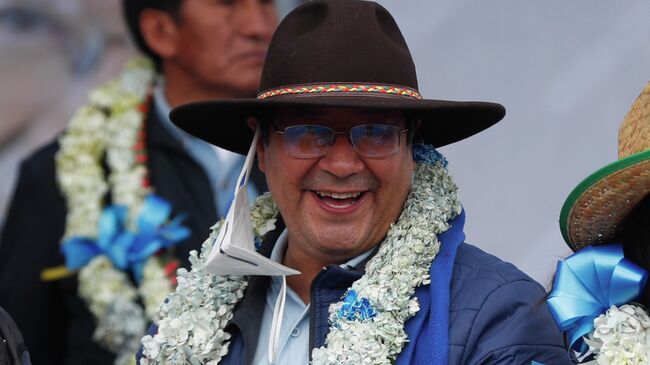 Президент Боливии Луис Арсе. Архивное фото