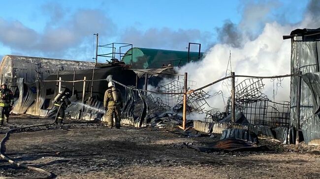 Пожар в Волосовском районе 