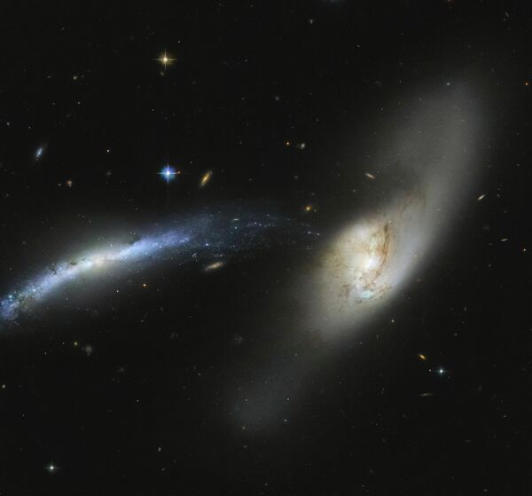 Галактика NGC 2799 в созвездии Рысь снятая космическим телескопом Хаббл