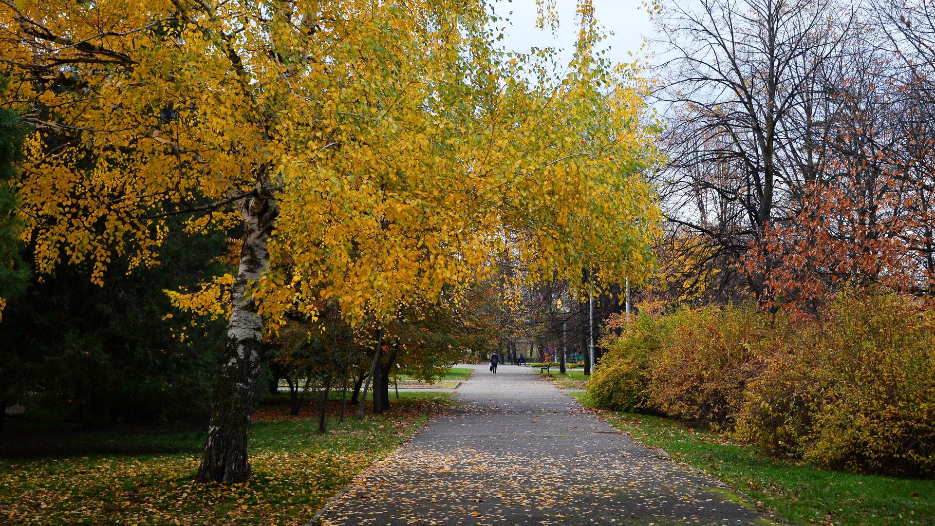 Парк в городе Майкоп - РИА Новости, 1920, 13.10.2021
