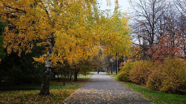 Парк в городе Майкоп