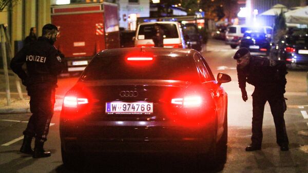 Полицейские проверяют машину на месте происшествия в Вене