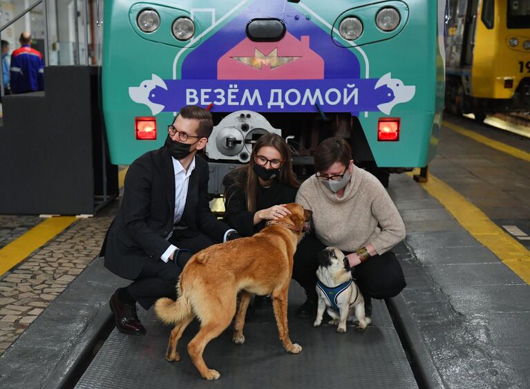 Во время запуска тематического поезда метро Хвосты и лапки, посвящённого одноименному онлайн-сервису по поиску хозяев для бездомных собак и кошек, в электродепо Красная Пресня Московского метрополитена