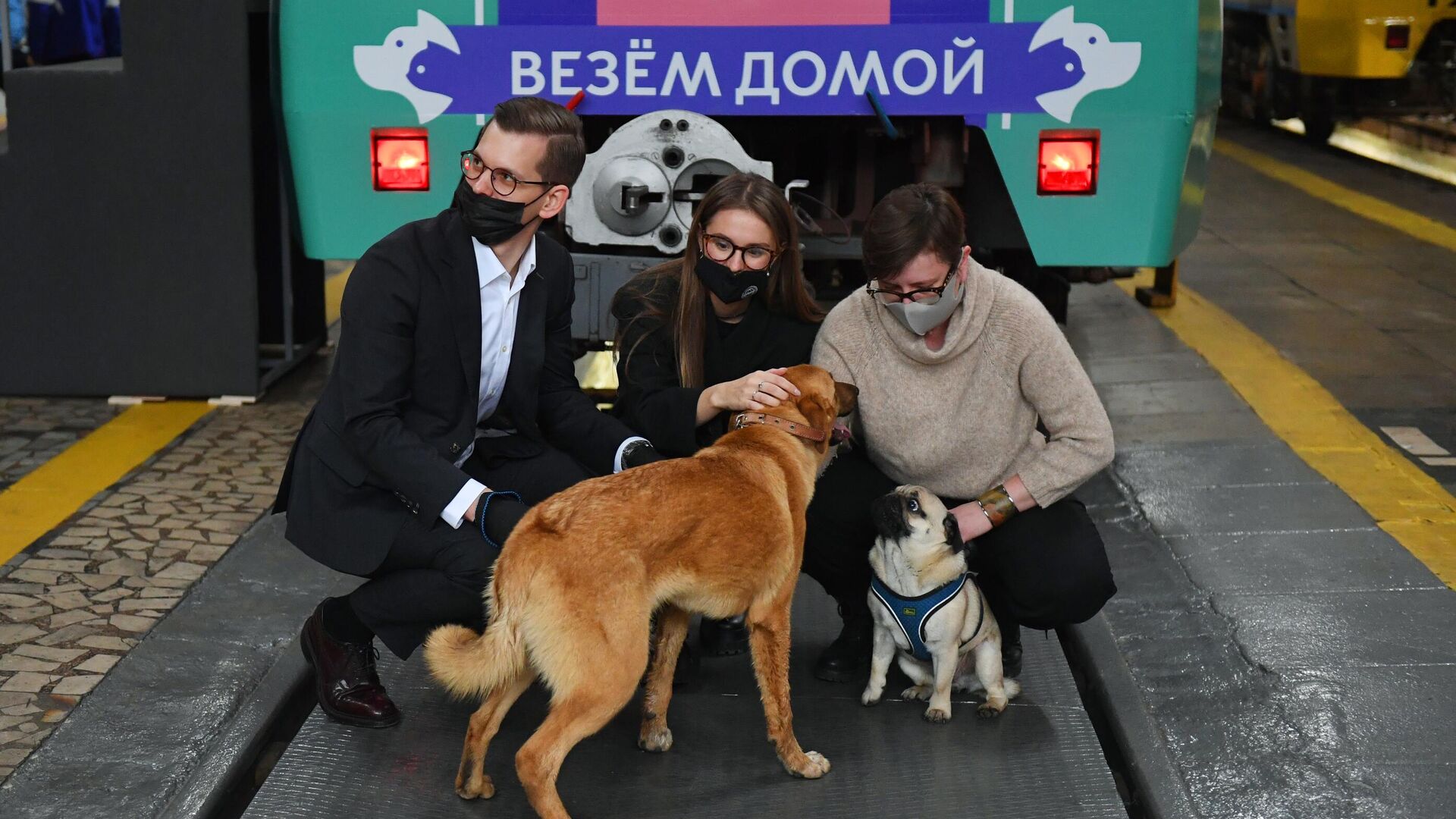 Во время запуска тематического поезда метро Хвосты и лапки, посвящённого одноименному онлайн-сервису по поиску хозяев для бездомных собак и кошек, в электродепо Красная Пресня Московского метрополитена - РИА Новости, 1920, 03.11.2020