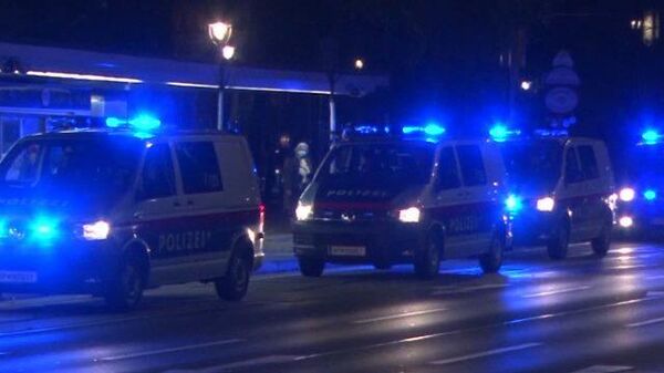 Теракт в Австрии: стрельба по прохожим в центре Вены