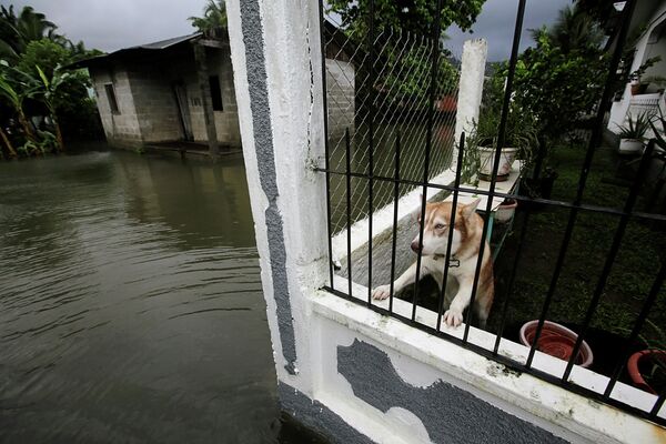 Последствия наводнения в Теле, Гондурас