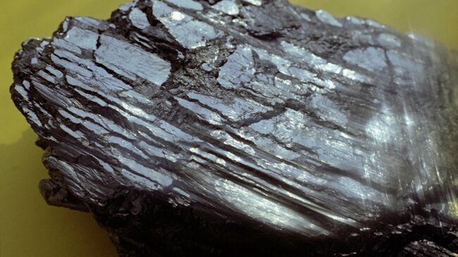 Образец породы каменного угля.