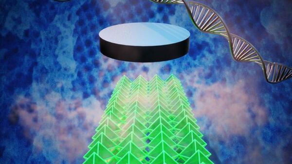 Схема создания сверхпроводящего наноматериала на основе самосборки ДНК