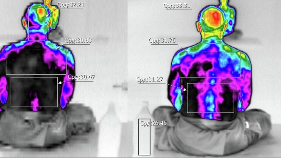 Измерение температуры тела до после медитации - РИА Новости, 1920, 10.11.2020