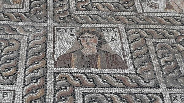 Мозаика, обнаруженная во время раскопок в турецкой провинции Кадирли