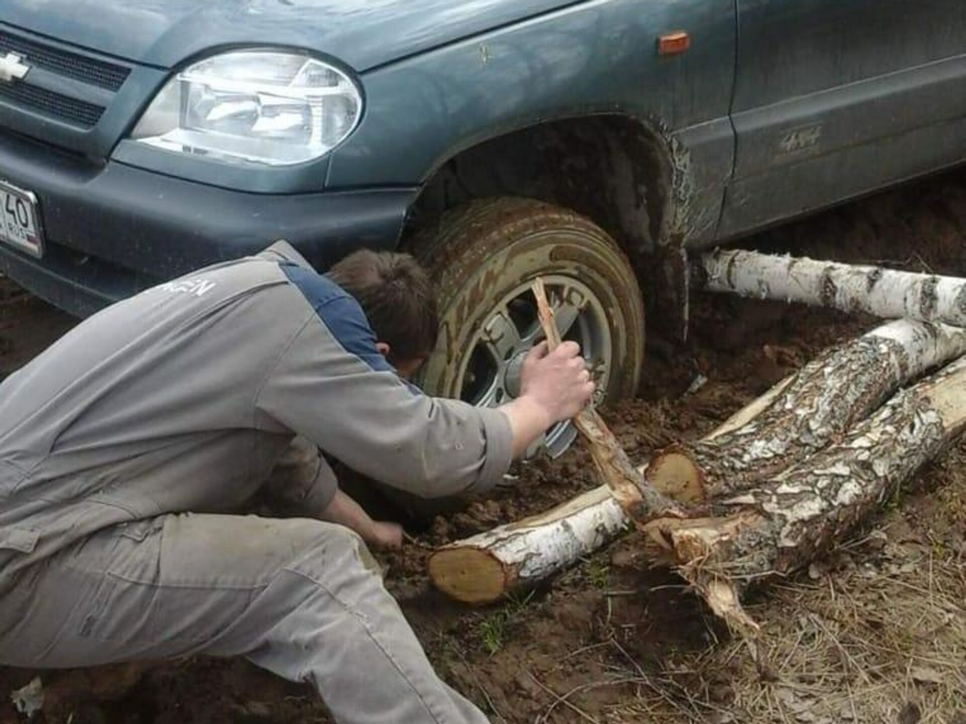 Попки девочек в лесу