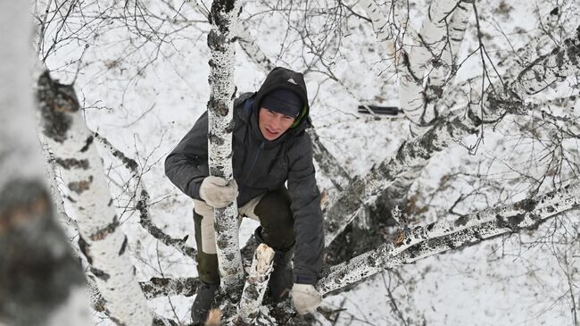 Тиктокер Алексей Дудоладов лезет на верхушку березы в деревне Станкевичи Называевского района