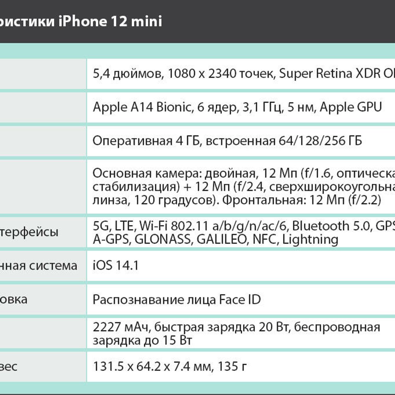 Обзор iPhone 12 mini: чем интересен самый маленький смартфон Apple? - РИА  Новости, 04.12.2020