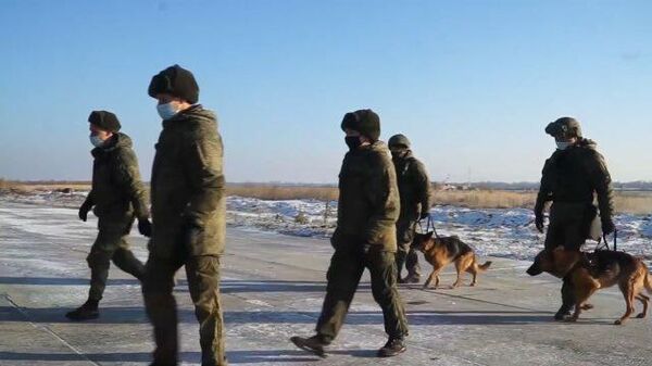 Саперы российской миротворческой бригады с собаками отправились в Карабах