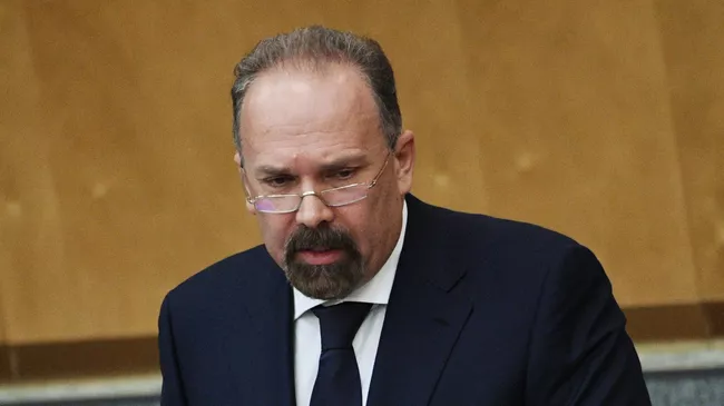 Аудитор Счетной палаты РФ Михаил Мень