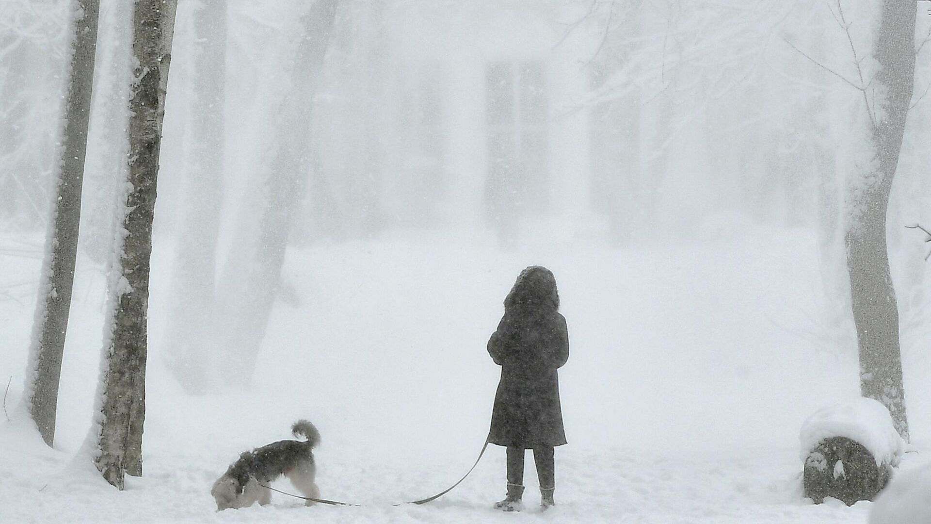 Женщина с собакой в парке Братцево в Москве - РИА Новости, 1920, 23.11.2020