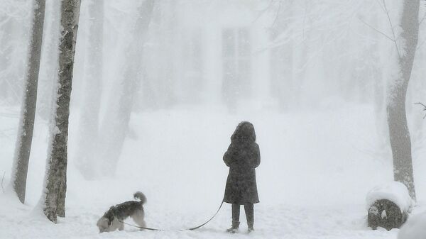 Женщина с собакой в парке Братцево в Москве