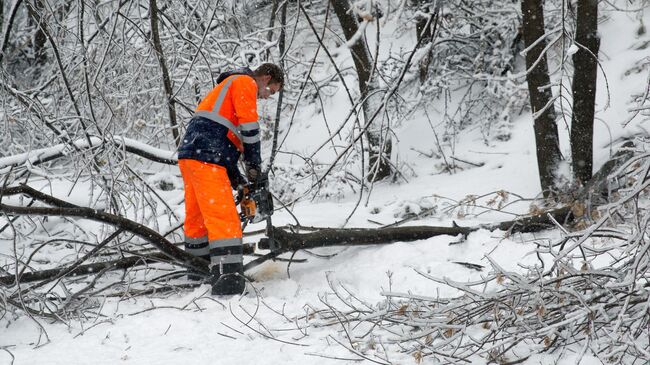 Последствия снежного циклона в Приморье 