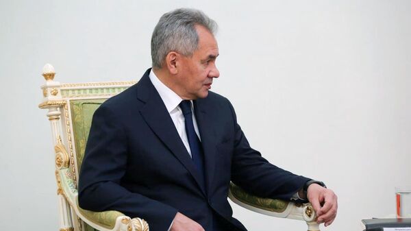 Министр обороны РФ Сергей Шойгу во время встречи в Ереване с премьер-министром Армении Николом Пашиняном