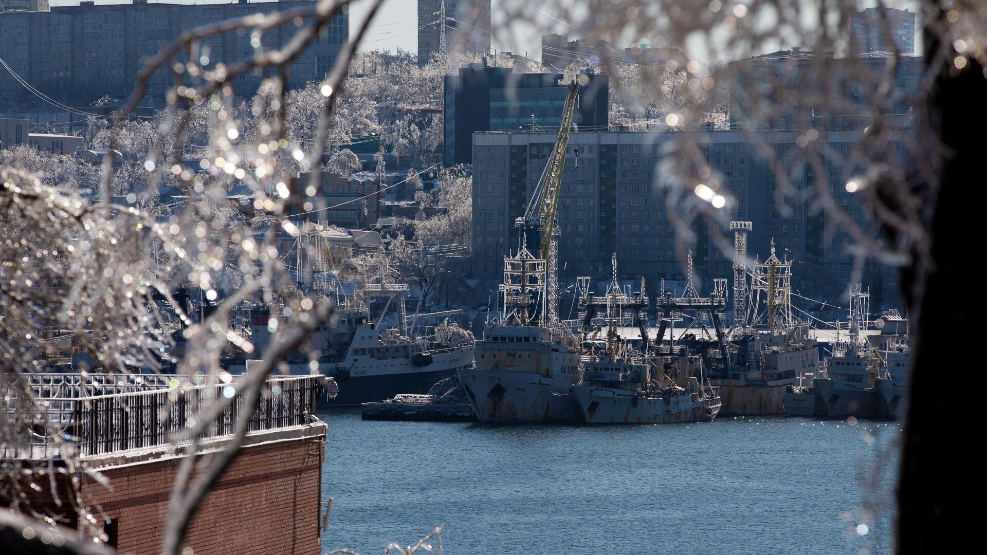 Последствия снежного циклона в Приморье - РИА Новости, 1920, 26.12.2020