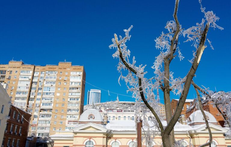 Последствия снежного циклона в Приморье