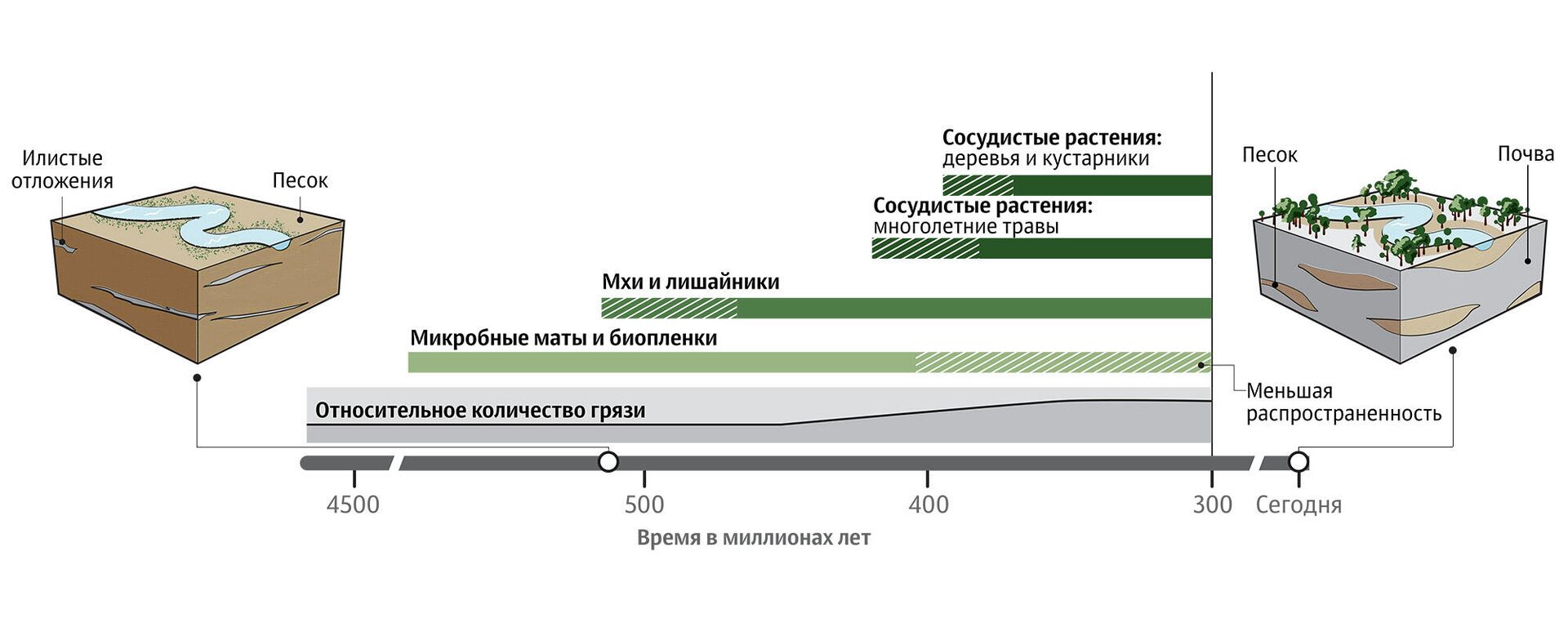 График, иллюстрирующий, как появление наземных растений способствовало накоплению грязи и образованию почвы - РИА Новости, 1920, 25.11.2020