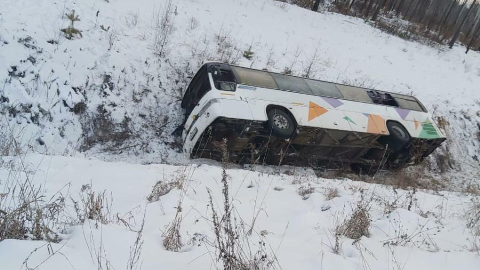 ДТП на автодороге в ЗАТО Циолковский с участием автобуса Kia SRPR-3E в Амурской области - РИА Новости, 1920, 23.11.2020