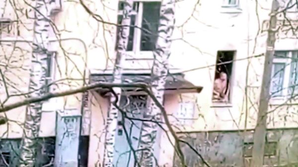 Кадр видео очевидцев с места захвата заложников в Колпино
