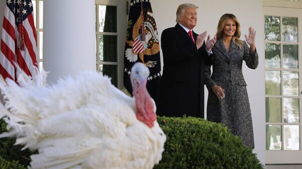 Президент США Дональд Трамп провел в Белом доме традиционную церемонию помилования индеек к предстоящему Дню благодарения