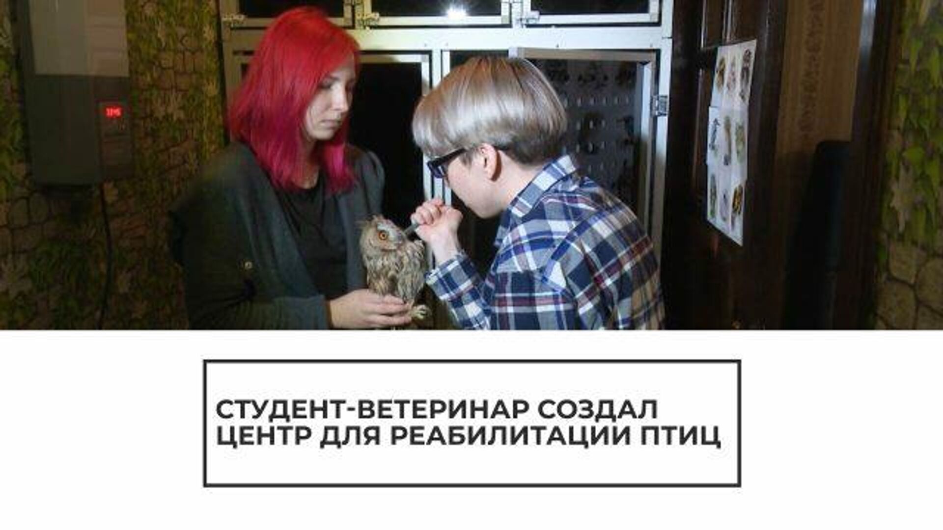 Бесплатные знакомства https://24pickup.ru #24_pickup_ru #пикап #знакомства_Ангар