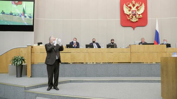 Руководитель фракции ЛДПР Владимир Жириновский на пленарном заседании Государственной Думы РФ