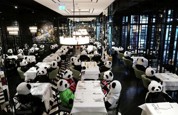 Арт-инсталляция Панда-мия (Panda-mie) в ресторане Франкфурта-на-Майне, призванная привлечь внимание к негативным последствиям локдауна для предприятий общепита